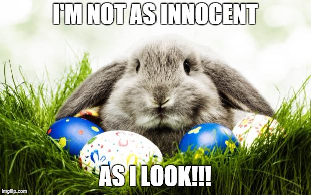 https://smarterforensics.com/wp-content/uploads/2018/03/bunny.jpg